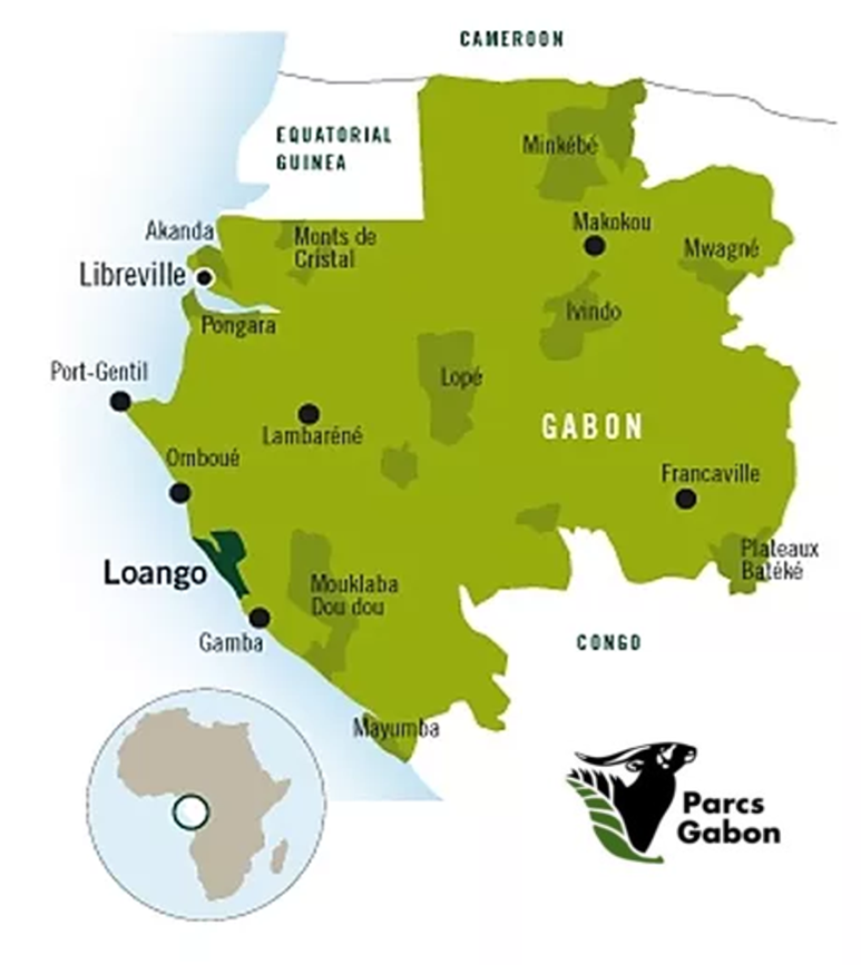 Viajar a Gabón - Gabon Untouched