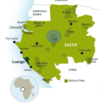 Lope | Gabon Untouched
